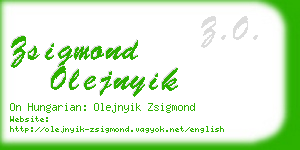 zsigmond olejnyik business card